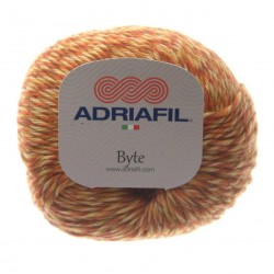 byte 81